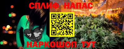 PSILOCYBIN Новодвинск