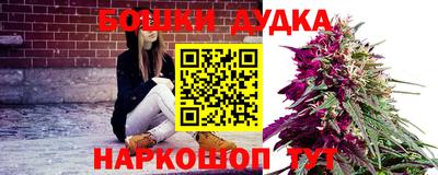PSILOCYBIN Новодвинск