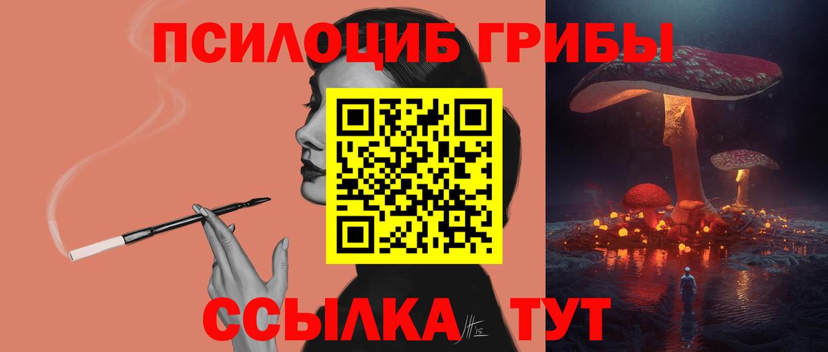Галлюциногенные грибы прущие грибы Тихвин